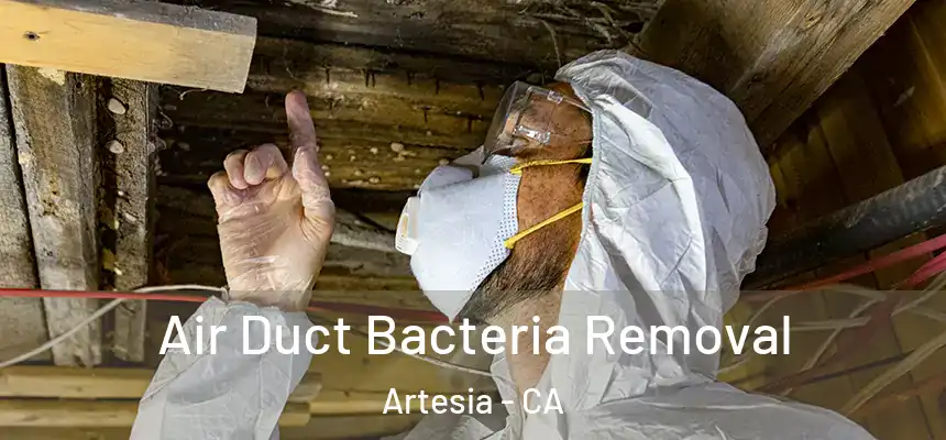  Air Duct Bacteria Removal Artesia - CA