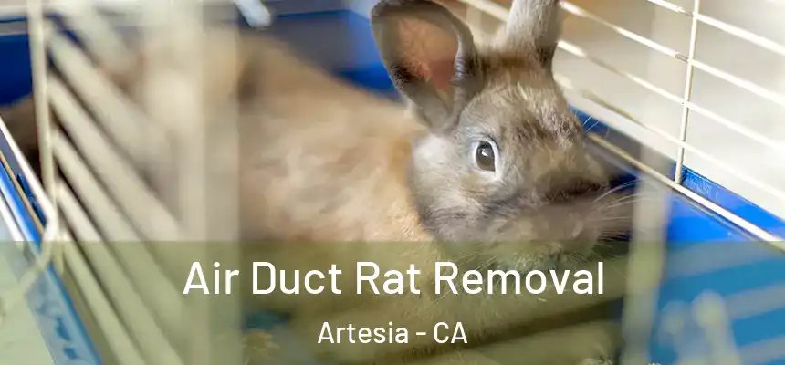  Air Duct Rat Removal Artesia - CA