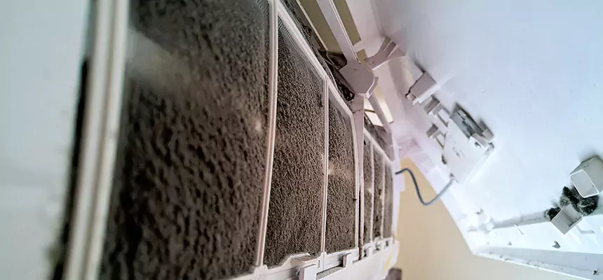 Preventive Air Duct Bacteria Removal in Artesia