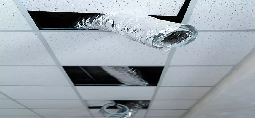 Affordable HVAC Sanitizing After Pest Removal in Artesia