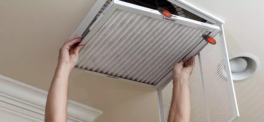 Our Insect Removal from Air Ducts Services in Artesia, CA