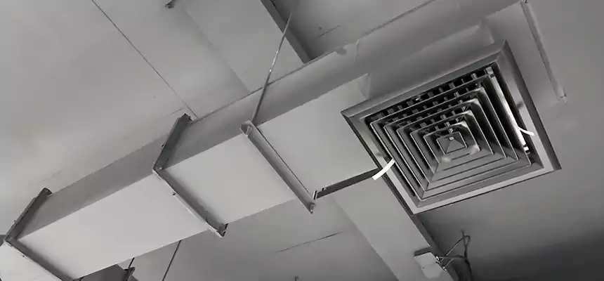 Our Rodent Droppings In Vents Services in Artesia, CA