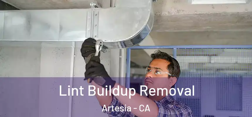  Lint Buildup Removal Artesia - CA