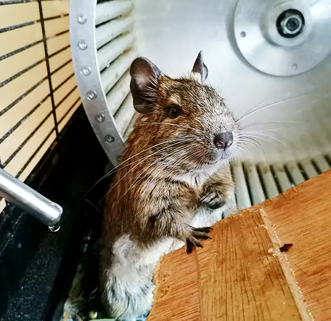 Why Homeowners & Businesses Trust Us Artesia, CA?