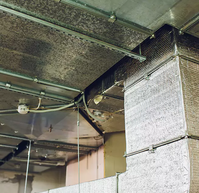 Why Homeowners & Businesses Trust Us in Artesia, CA?